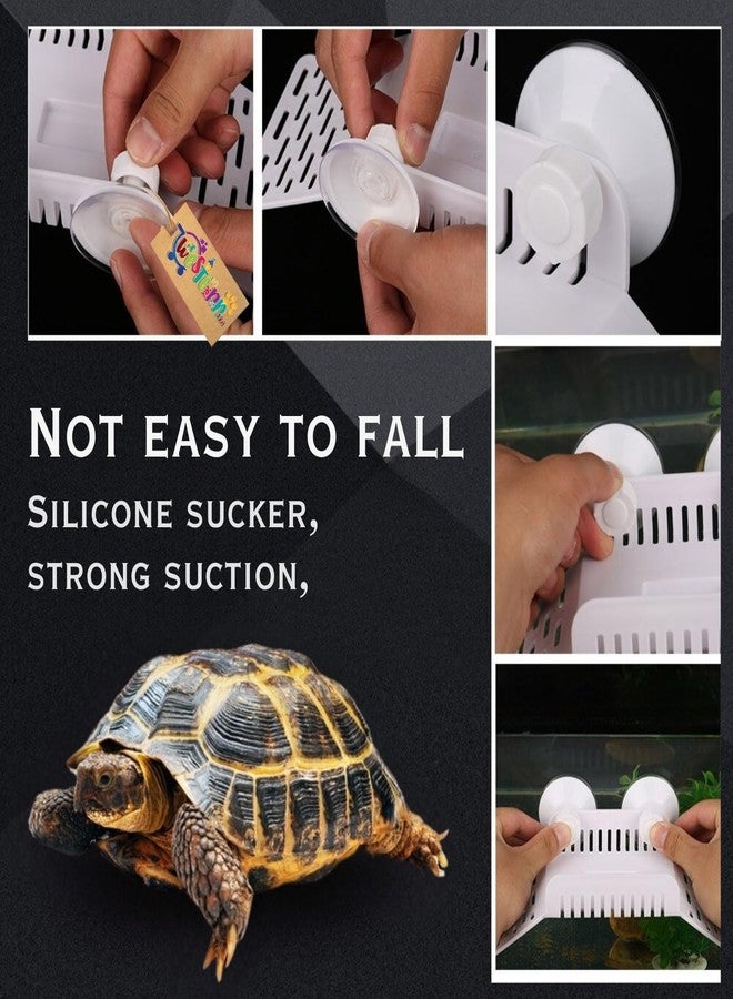 Western Era Turtle Basking Platform with Suction Cups - Durable, Floating Dock with Textured Ramp for Turtles, Amphibians, Reptiles, Designed for Comfortable Sunbathing & Climbing in Aquatic Habitats - Image 4